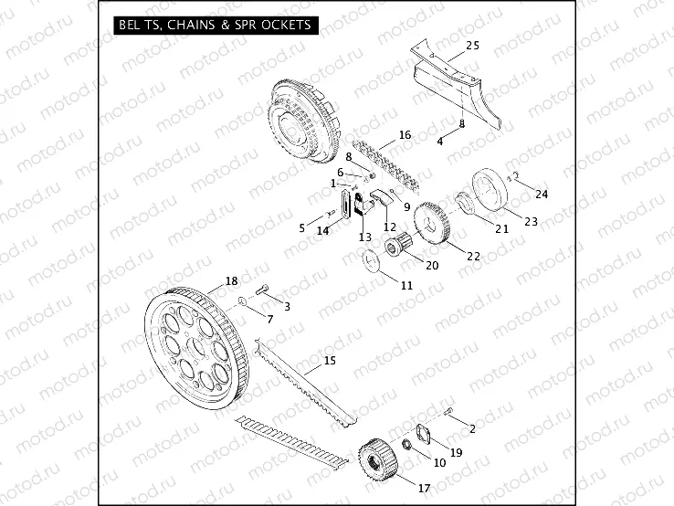 BELTS, CHAINS & SPROCKETS