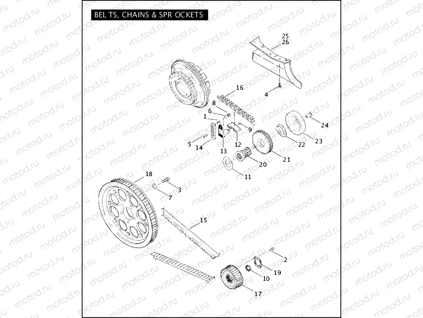 BELTS, CHAINS & SPROCKETS