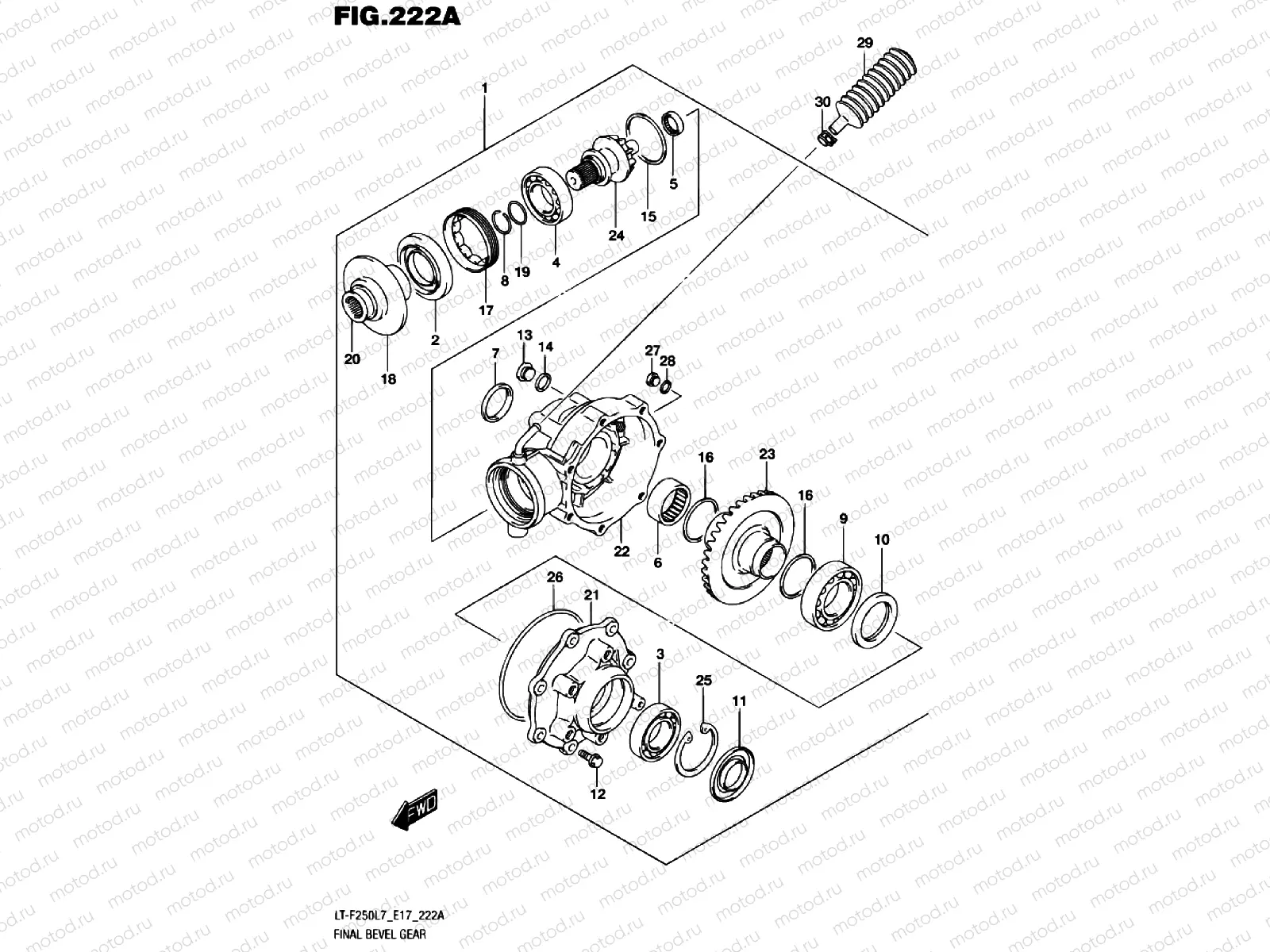 BEVEL GEAR
