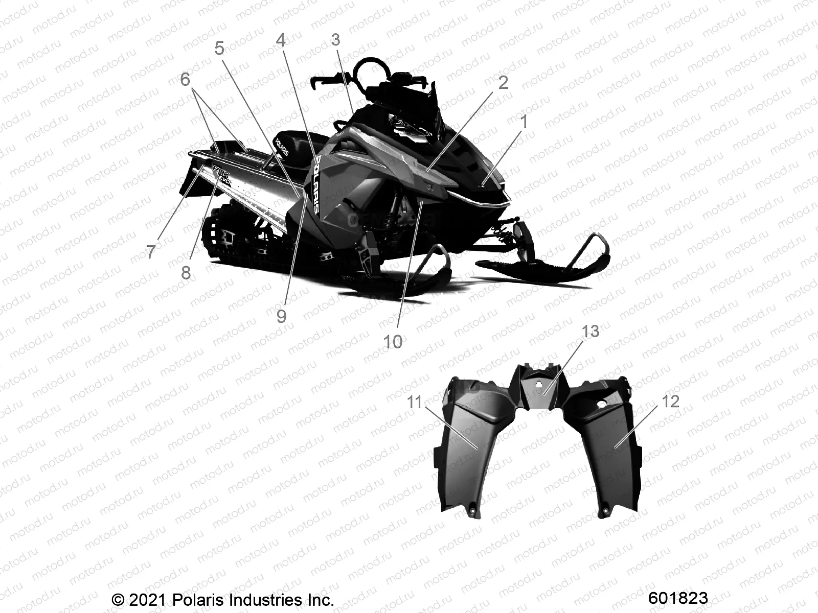 BODY | BODY, DECAL - S22CEU5TSL (601815)