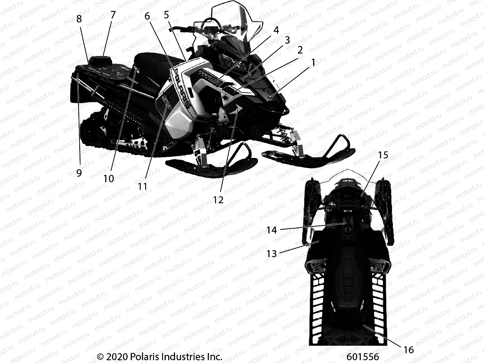 BODY | BODY, DECAL TITAN SP - S21FJB8PSL (601556)