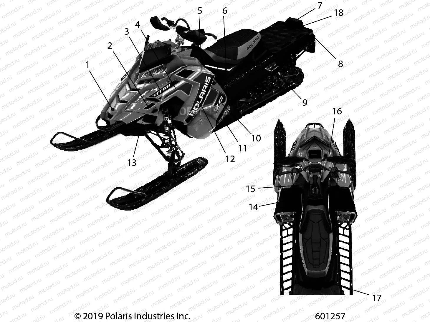 BODY | BODY, DECAL  XC, BLK SIDE PANEL W/BLK,TITNM ACCENT SC SELECT - S20FJP8 (601257)