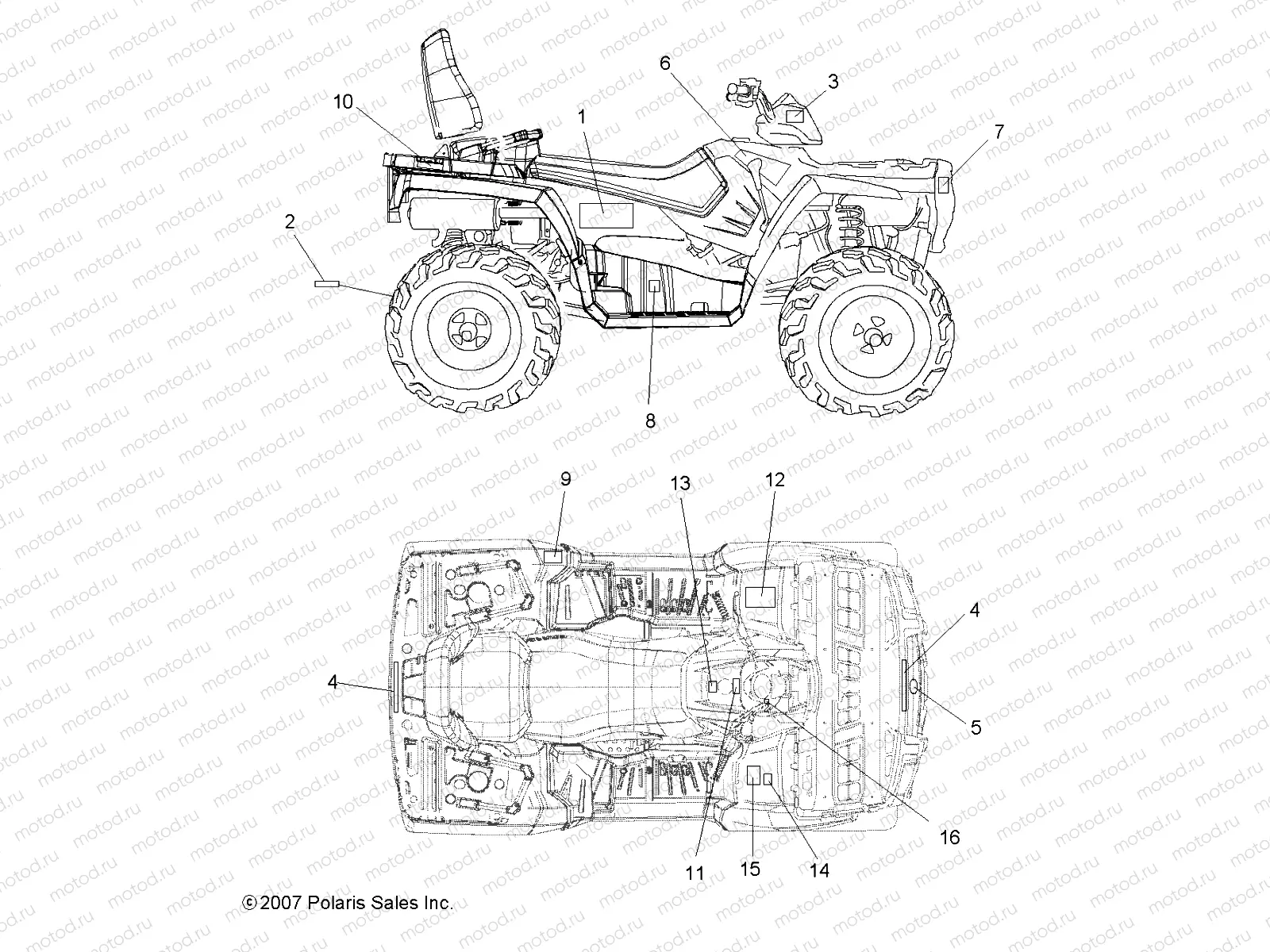 BODY | BODY, DECALS - A08DN50AF/AS/AW/AZ (49ATVDECAL08SPTRG500)