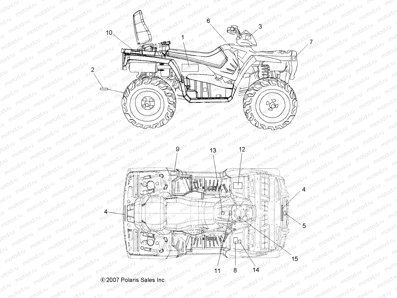 BODY | BODY, DECALS - A08DN76AF/AG/AH/AL/AJ/AS (49ATVDECAL08SPTRG800)