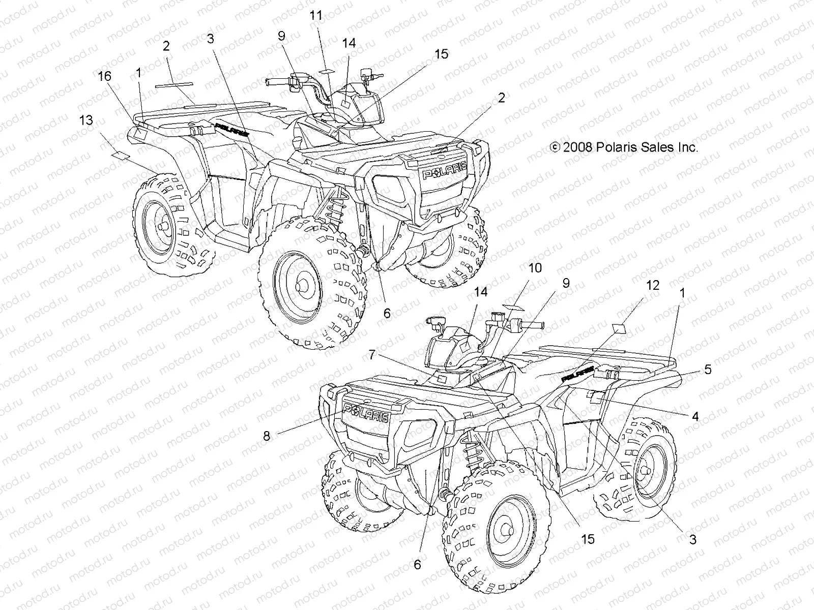 BODY | BODY, DECALS - A08MN76AF/AL/AQ/AR/AS/AT/AX (49ATVDECAL08SP800EFI)