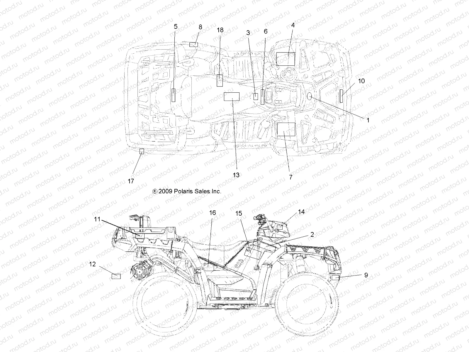 BODY | BODY, DECALS - A10TN55AL/AX (49ATVDECAL10SPXPX2550)