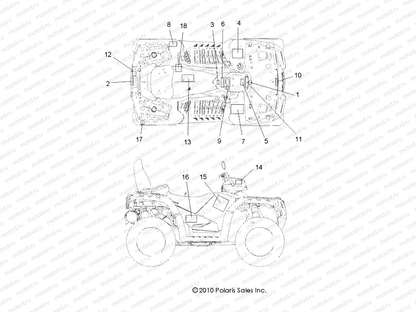 BODY | BODY, DECALS - A11DX55FL (49ATVDECAL11SPTRGEPS550I)