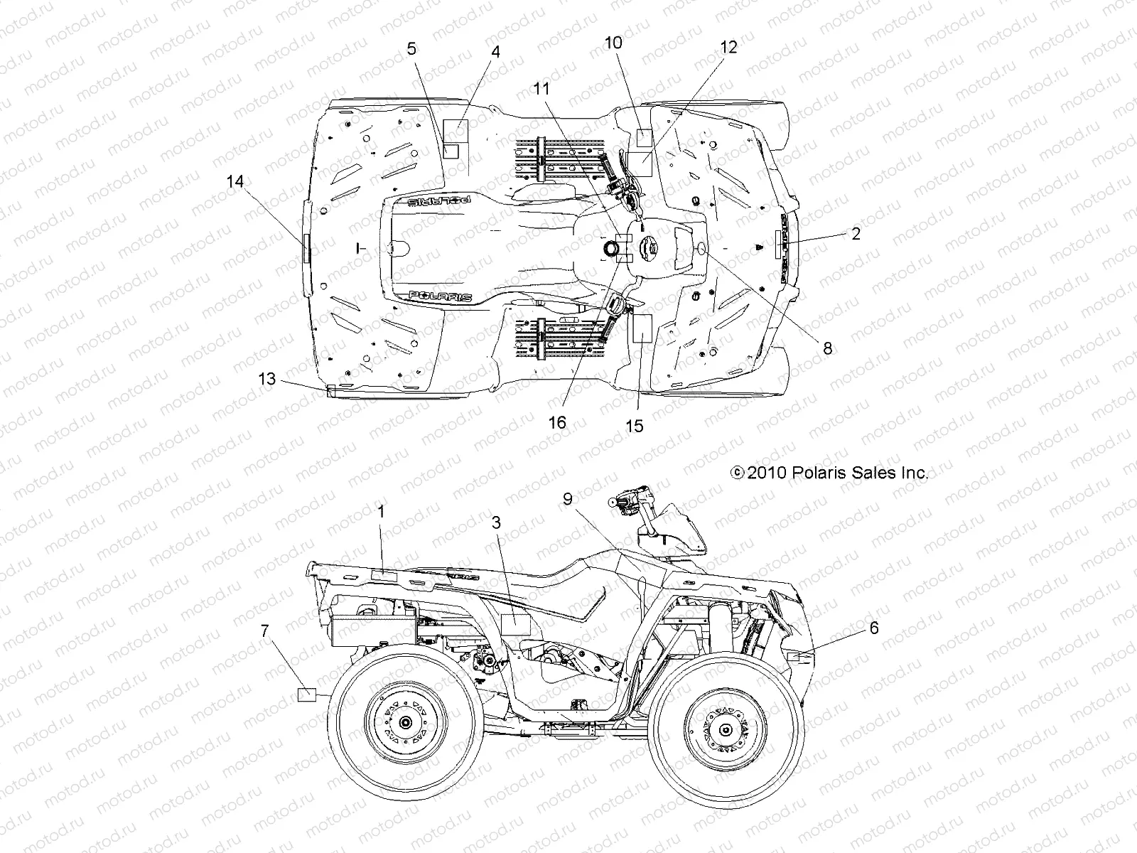BODY | BODY, DECALS - A11MH76AX/AZ (49ATVDECAL11SP800EFI)