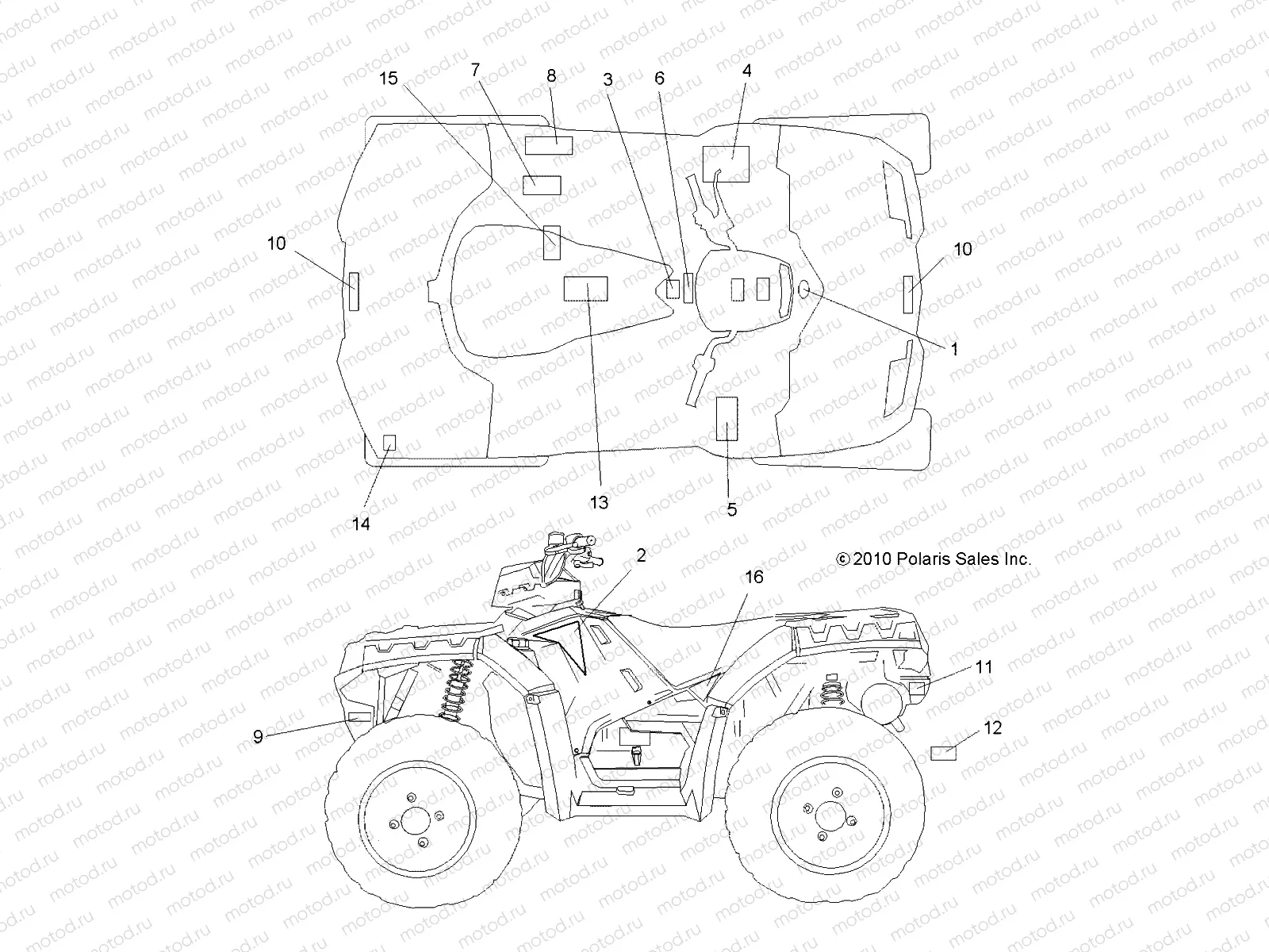 BODY | BODY, DECALS - A11ZN55AA/AQ/AZ (49ATVDECAL11SP550)