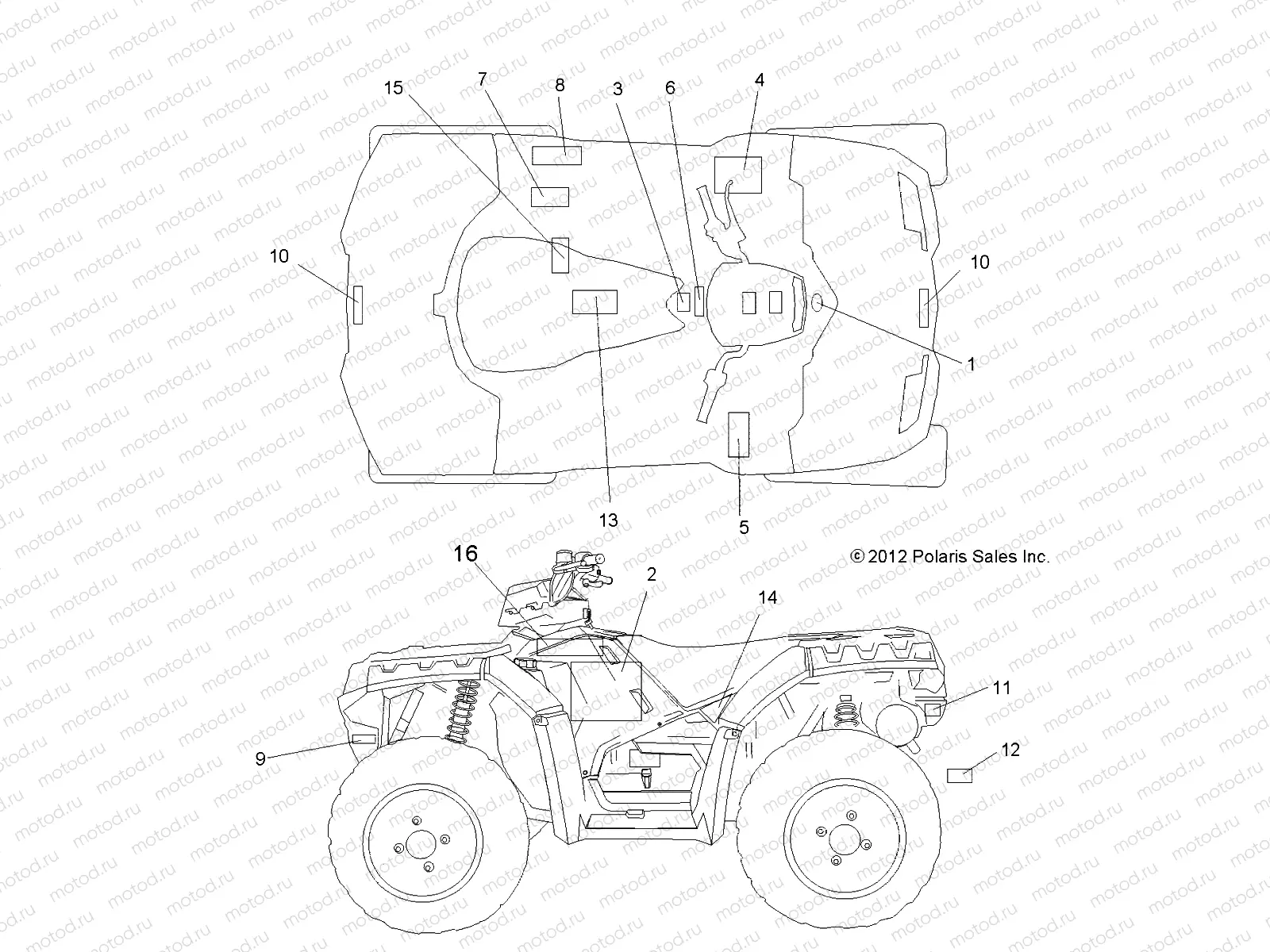BODY | BODY, DECALS - A13ZN55AA/AQ/AZ (49ATVDECAL13SP550)