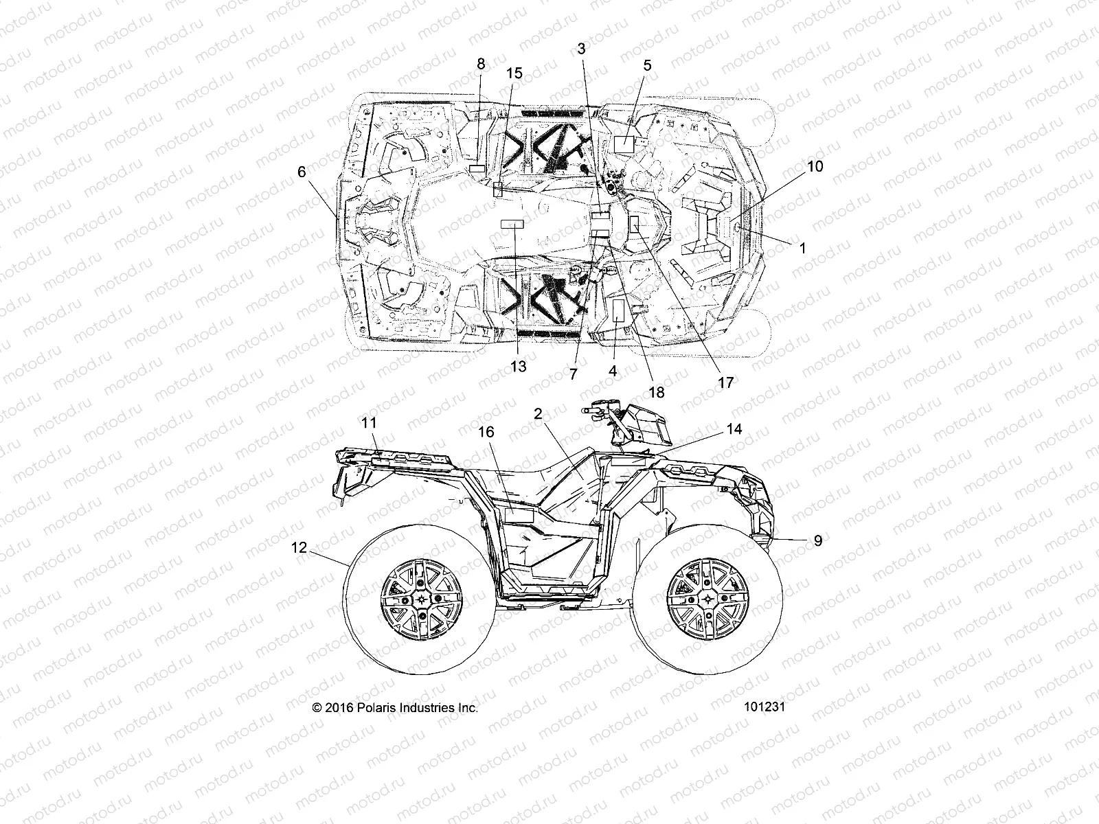 BODY | BODY, DECALS - A17SXE95NL (101231)