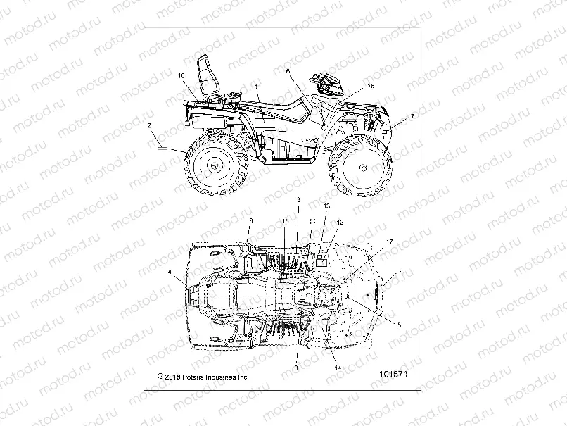 BODY | BODY, DECALS - A19SJE57BH (101571)