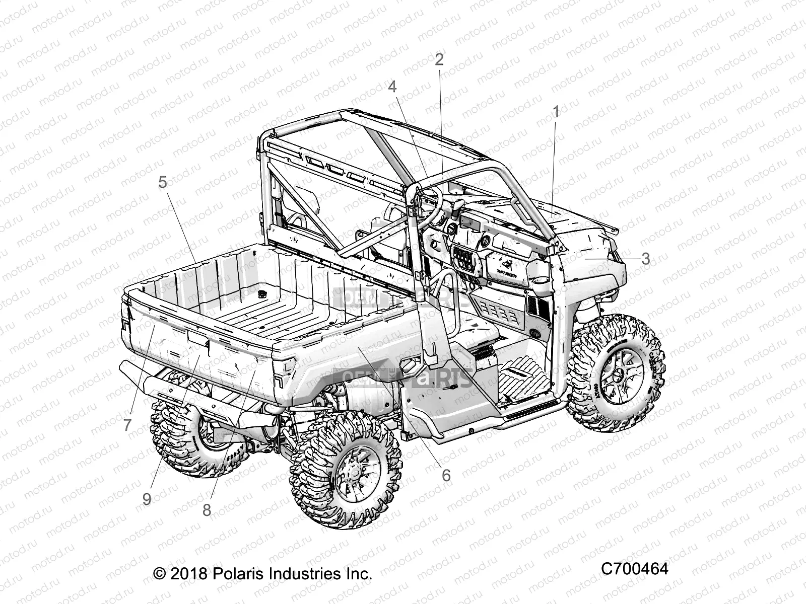 BODY | BODY, DECALS GRAPHIC - R19RRU99/A/B (C700464)