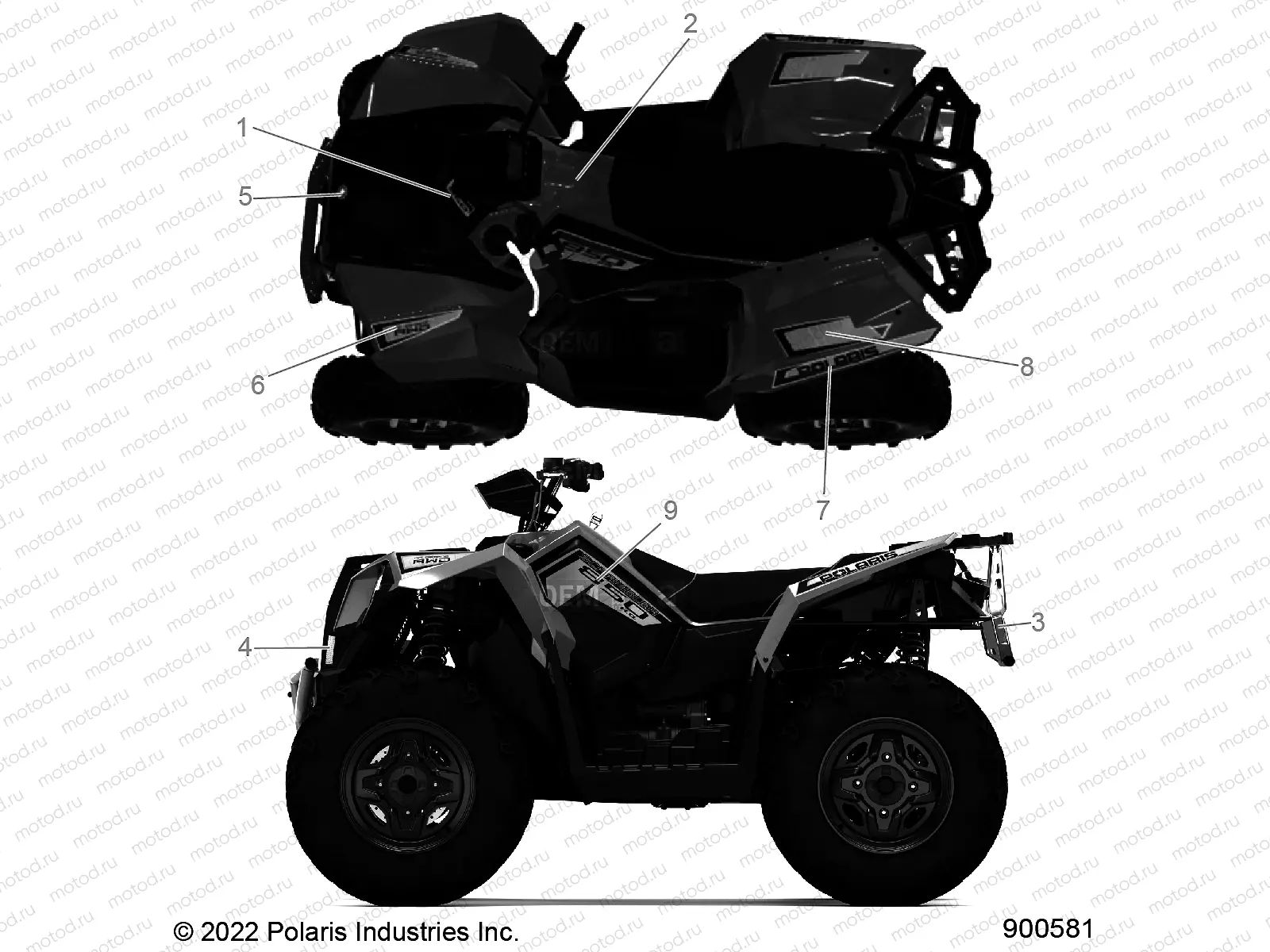 BODY | BODY, DECALS GRAPHICS - A23SVA85A3 (900581)