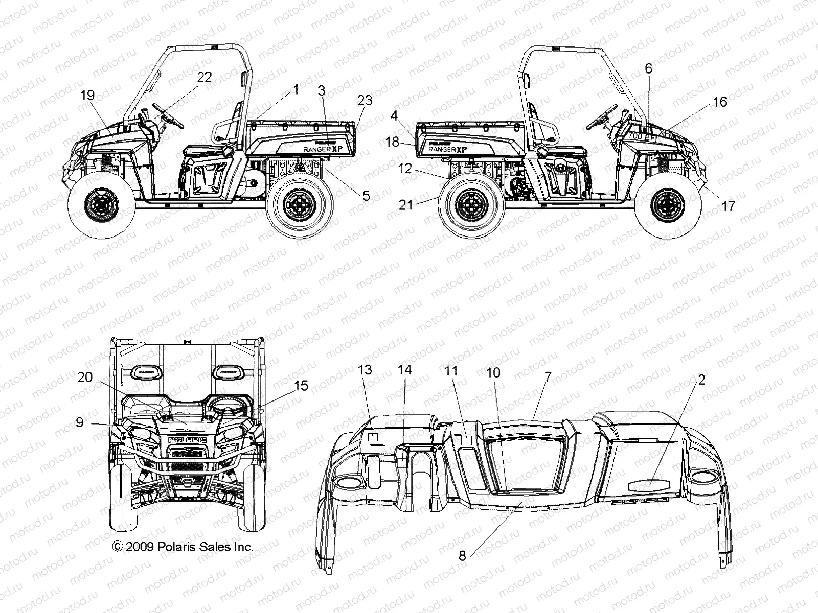 BODY | BODY, DECALS - R10TH76/TY76 ALL OPTIONS (49RGRDECAL108004X4)