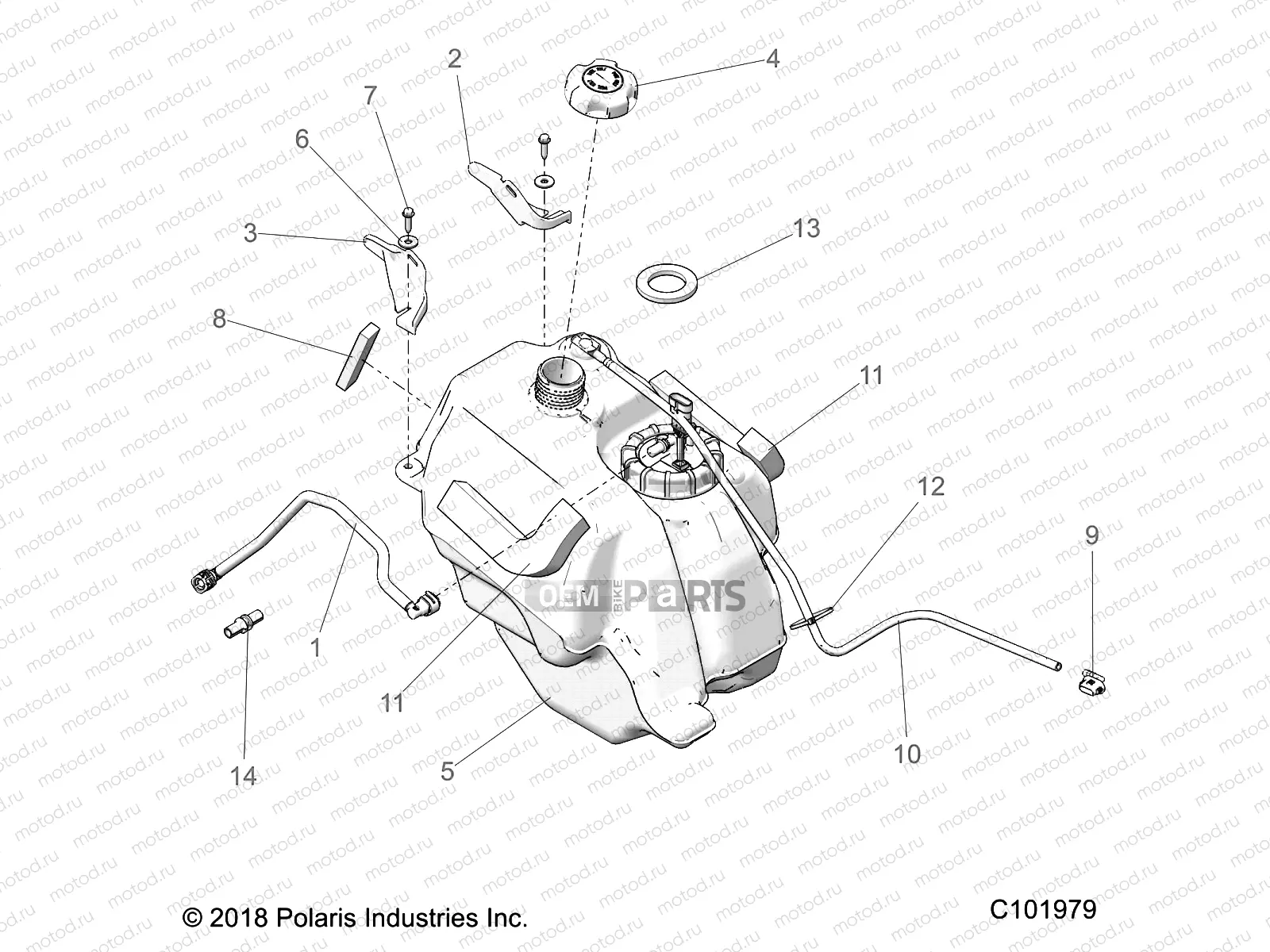 BODY | BODY, FUEL TANK ASM. - A19S6E57F1/FL