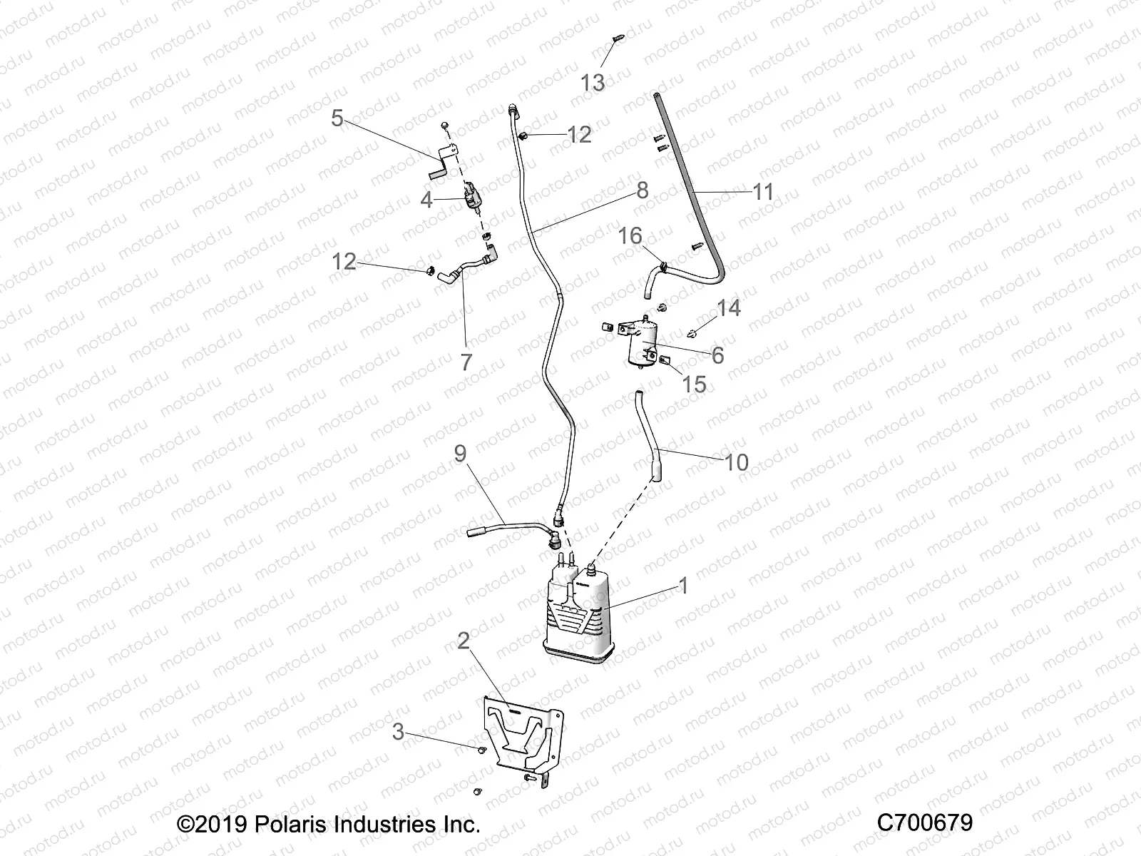 BODY | BODY, FUEL TANK EVAP 50S - R20RRB99/B (C700679)