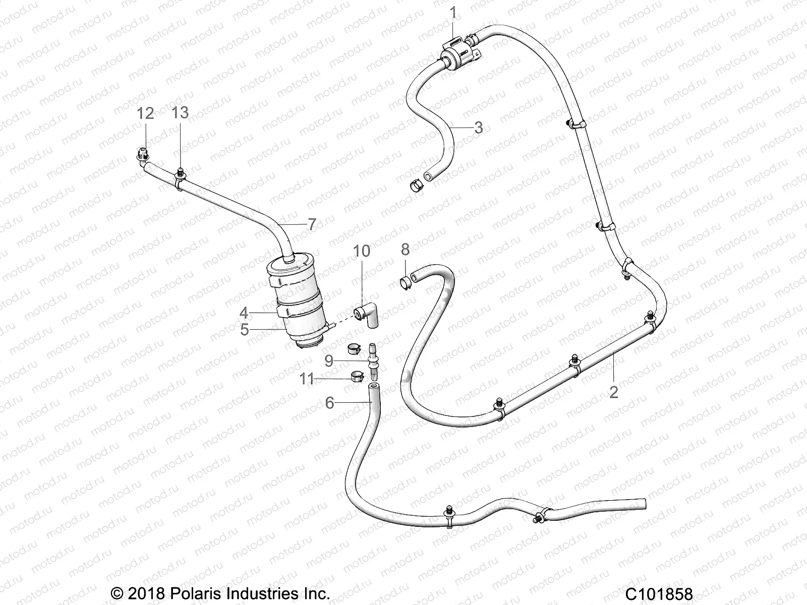 BODY | BODY, FUEL TANK EVAP - A21HAB15B2 (C101858)