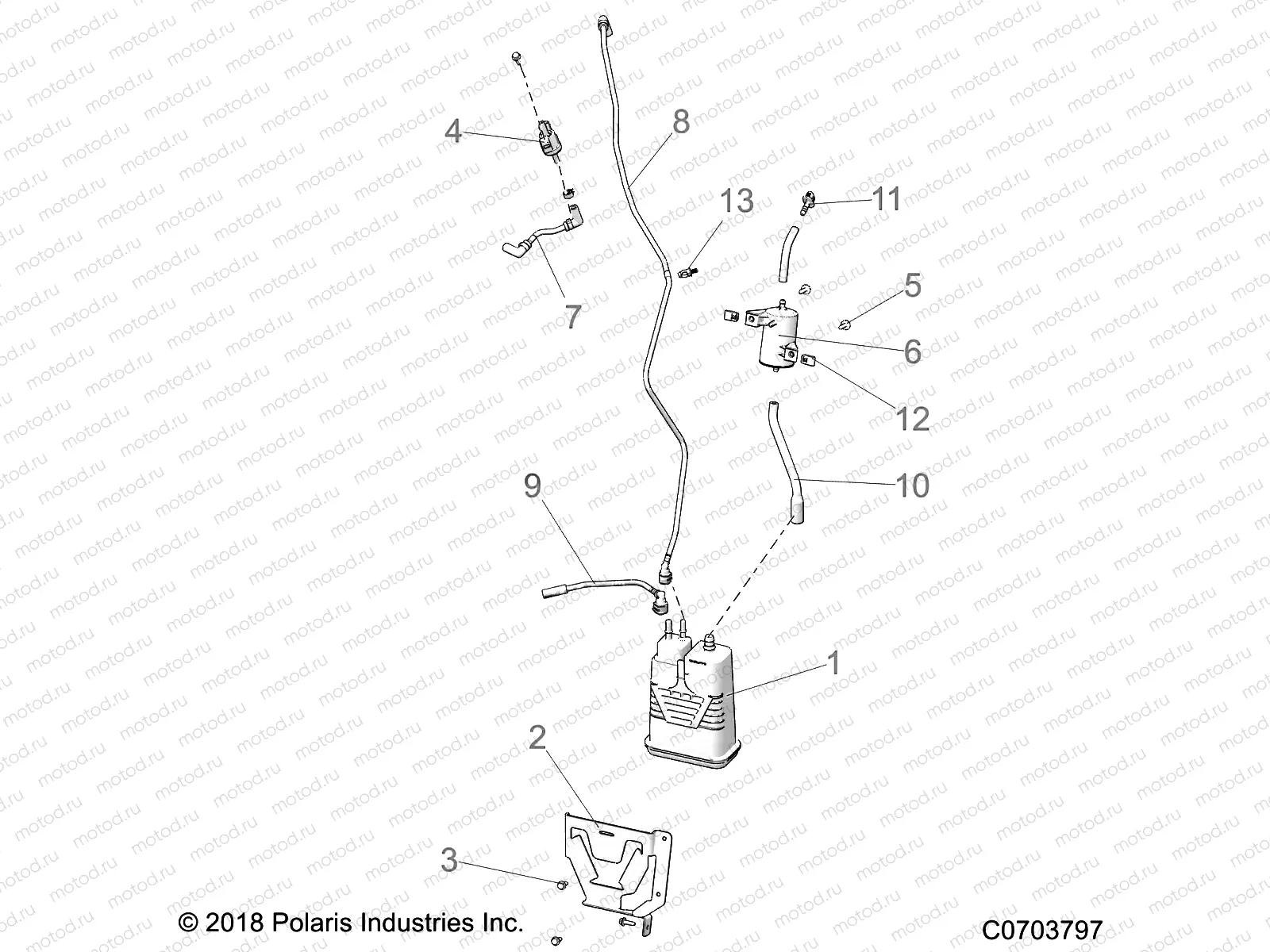 BODY | BODY, FUEL TANK EVAP - D21BEP99B4 (C0703797)