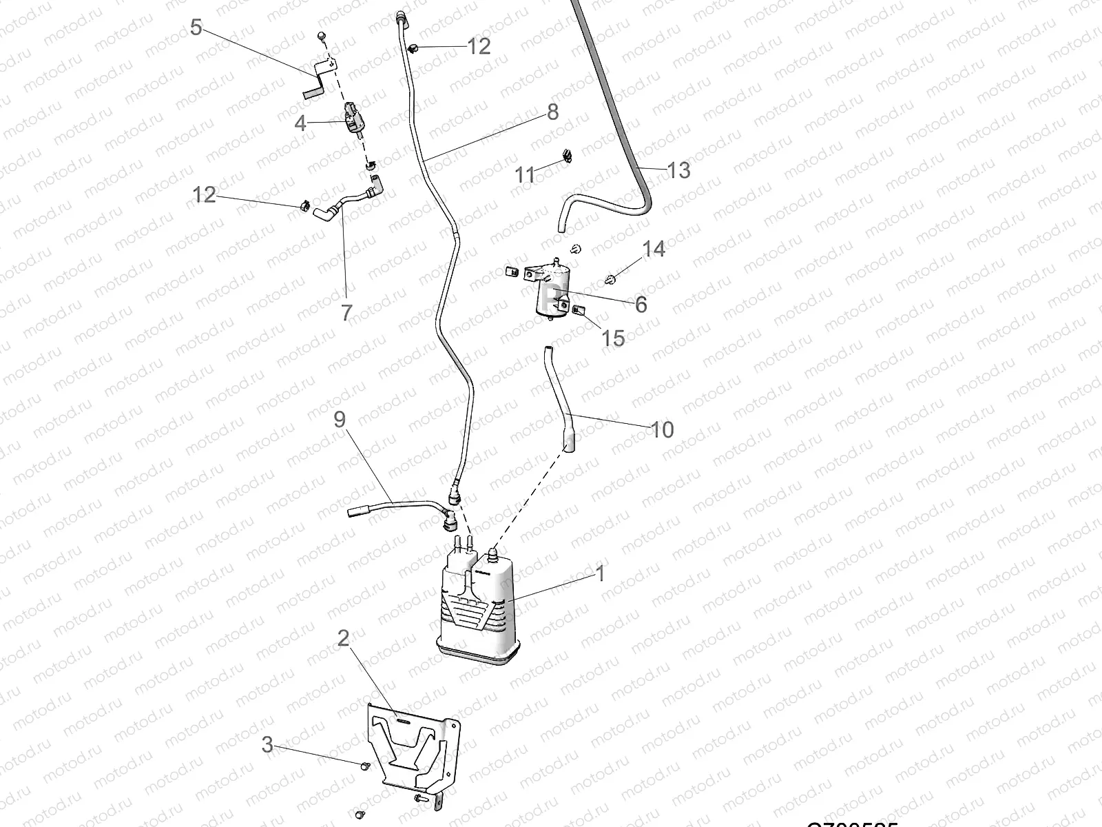 BODY | BODY, FUEL TANK EVAP - R19RSB99B9 (C700525)