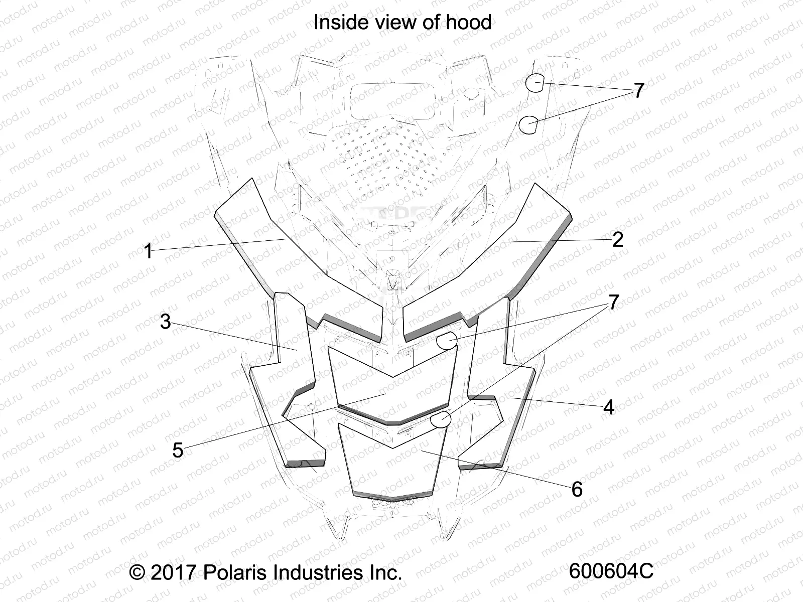 BODY | BODY, HOOD FOAM/FIBER - S21EKL8RS ALL OPTIONS (600604C)