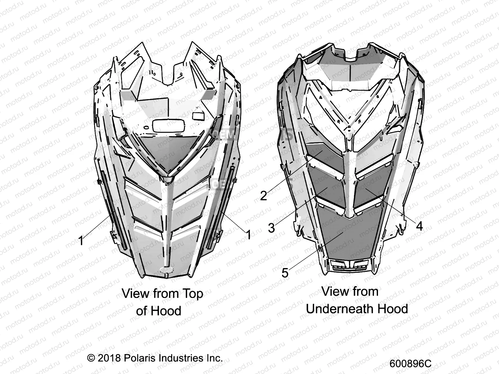 BODY | BODY, HOOD FOAM/SEAL - S22CFF5TSL (600896C)