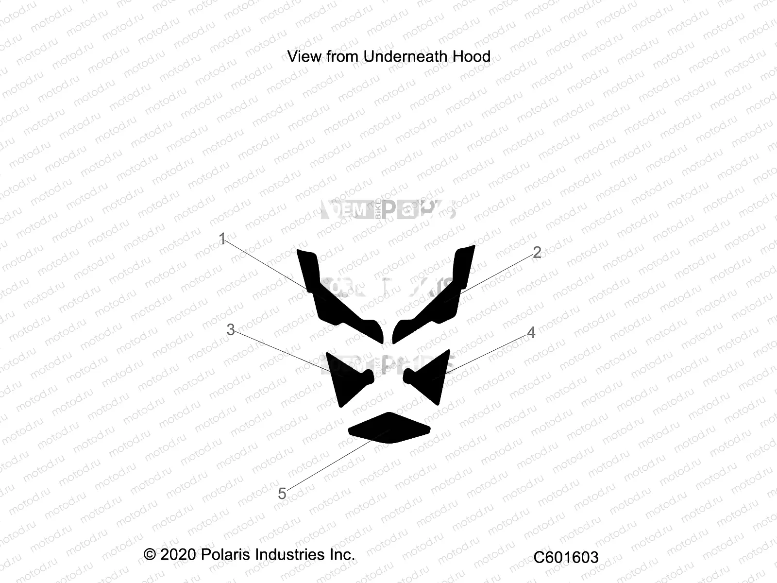 BODY | BODY, HOOD FOAM/SEAL - S23TKL8RS (C601603)