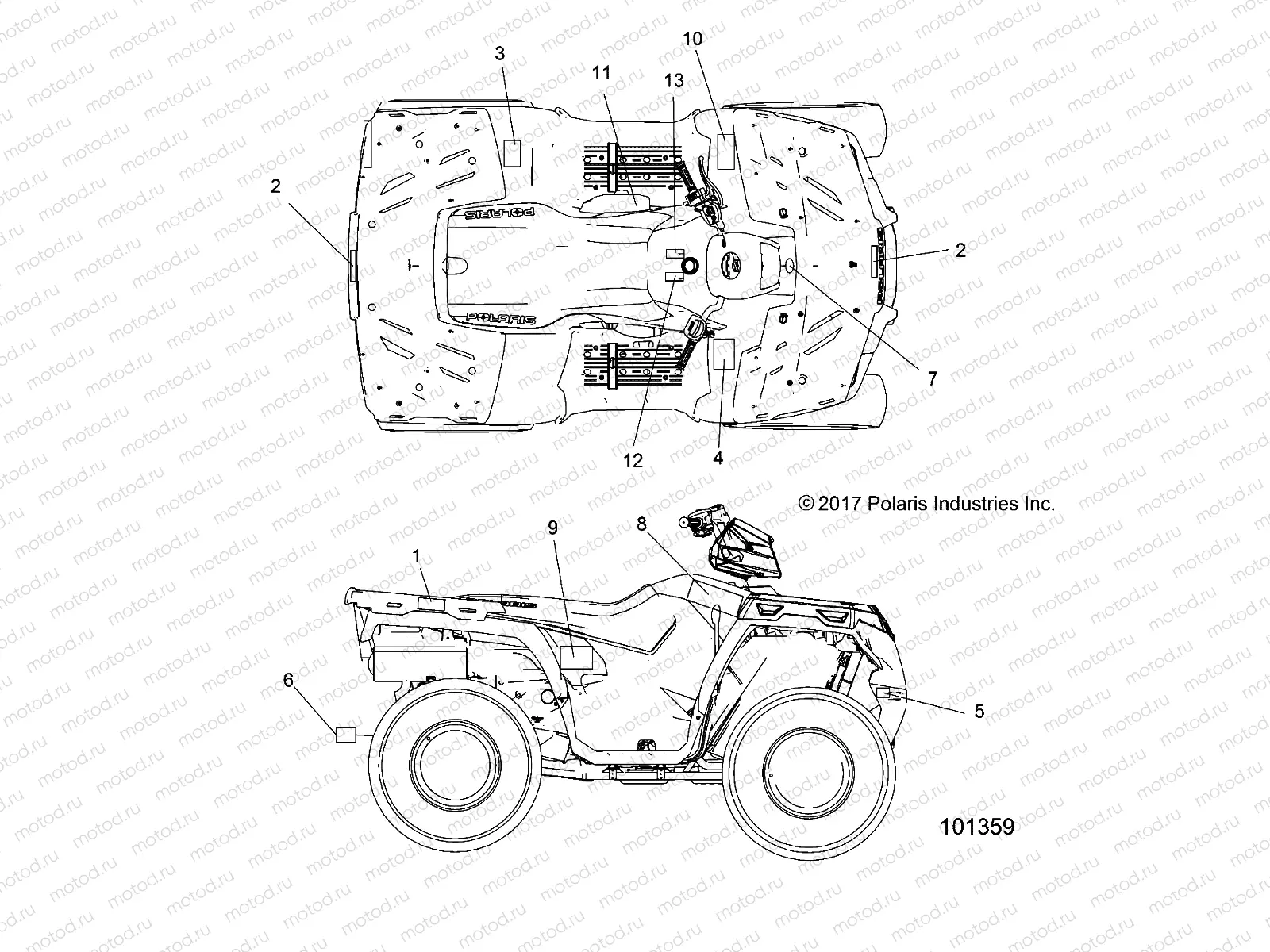 BODY | BODY, LATIN DECALS - A19SEA57L2/L7
