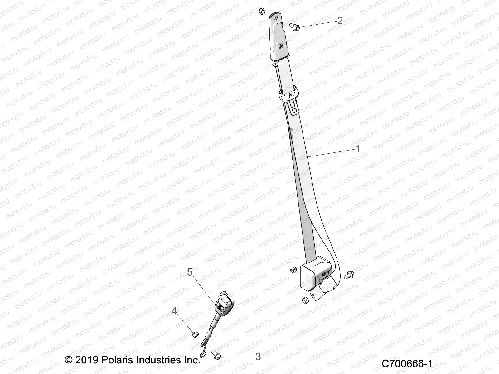 BODY | BODY, SEAT BELT MOUNTING - Z22S1E99AL/BL (C700666-1)