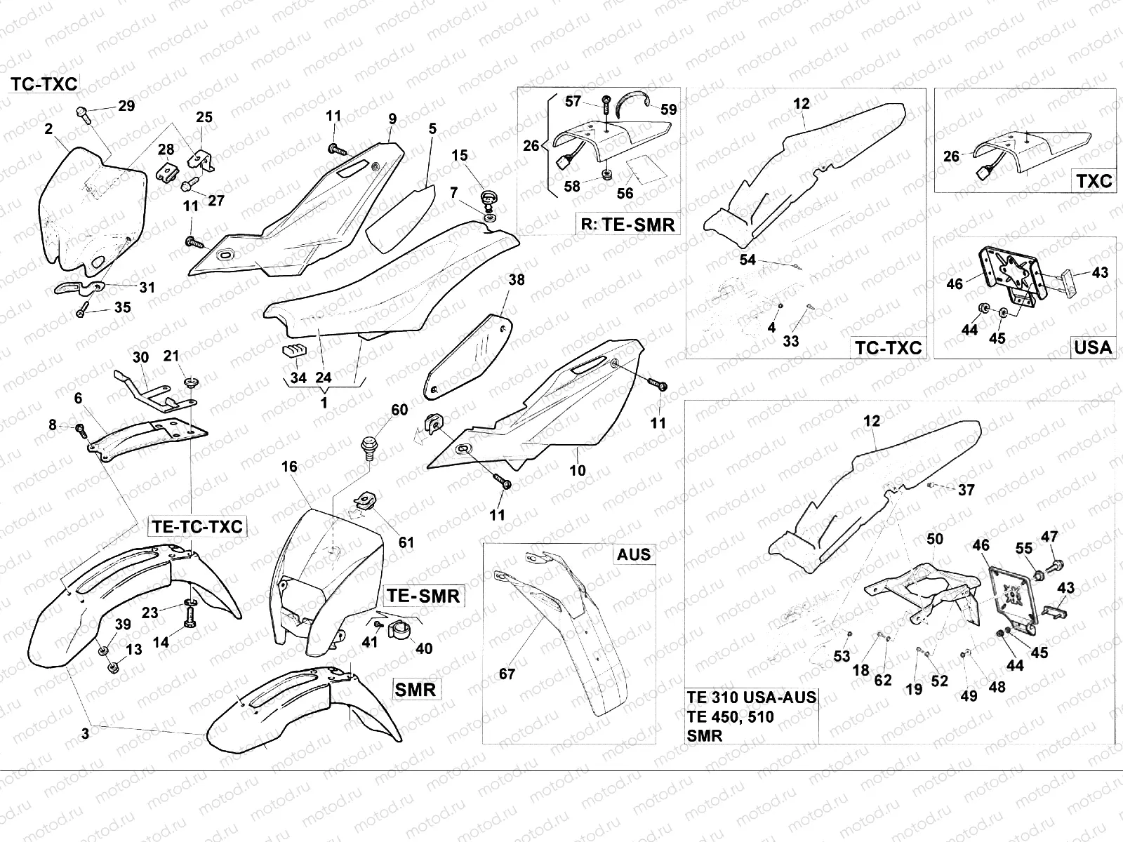 BODY (SMR-TE-TC-TXC)