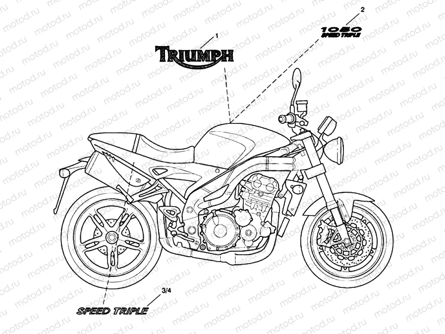 Bodywork Decals 333178