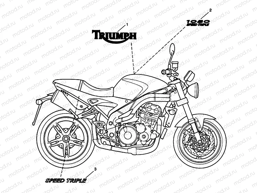 Bodywork Decals 333179