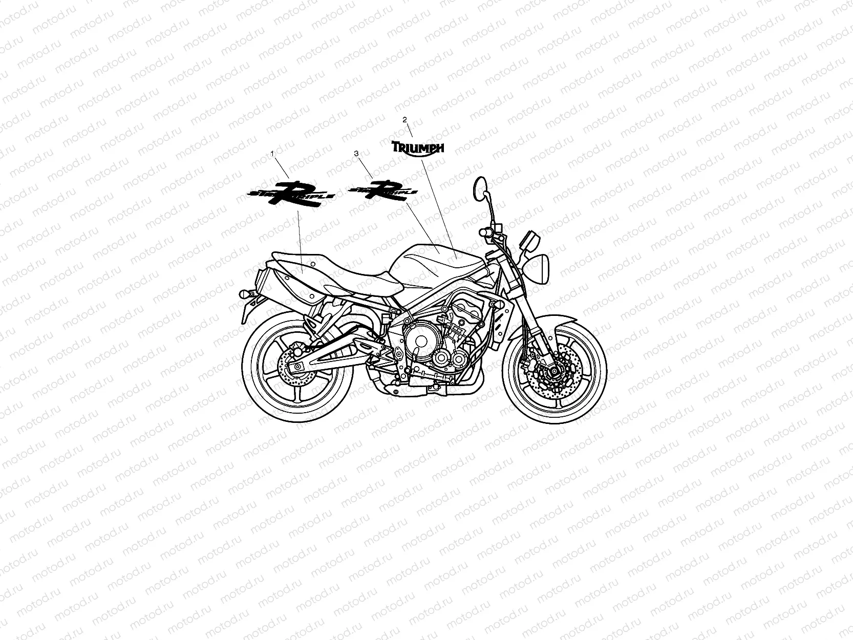 Bodywork Decals 482181