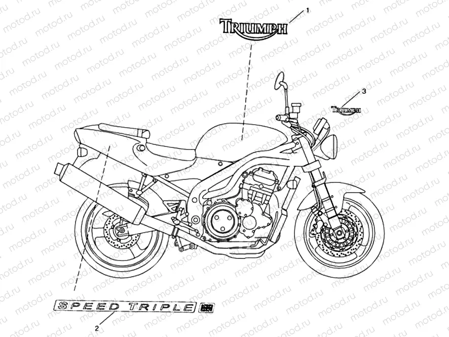 Bodywork Decals
