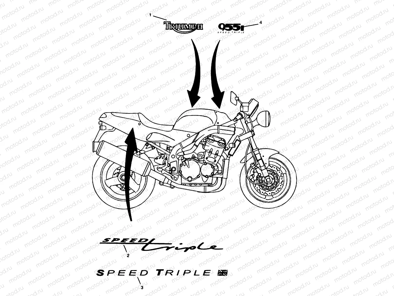 Bodywork Decals 955cc Engine