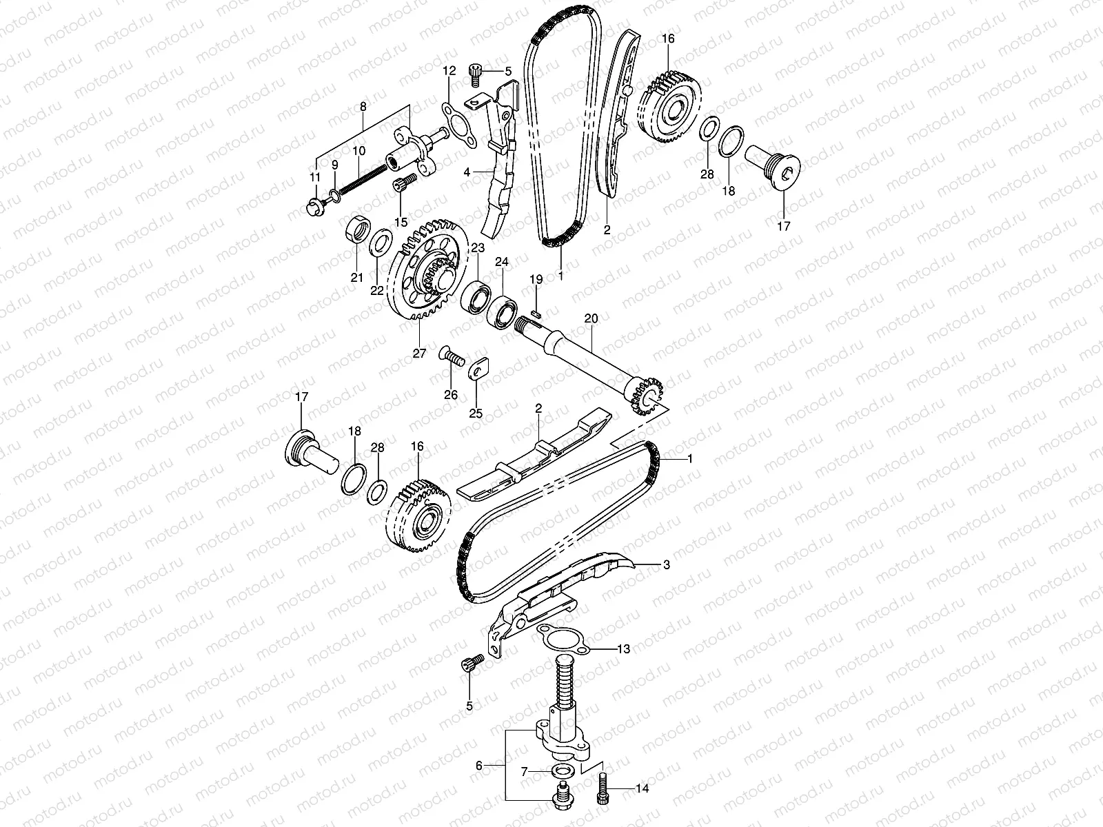 CAM CHAIN