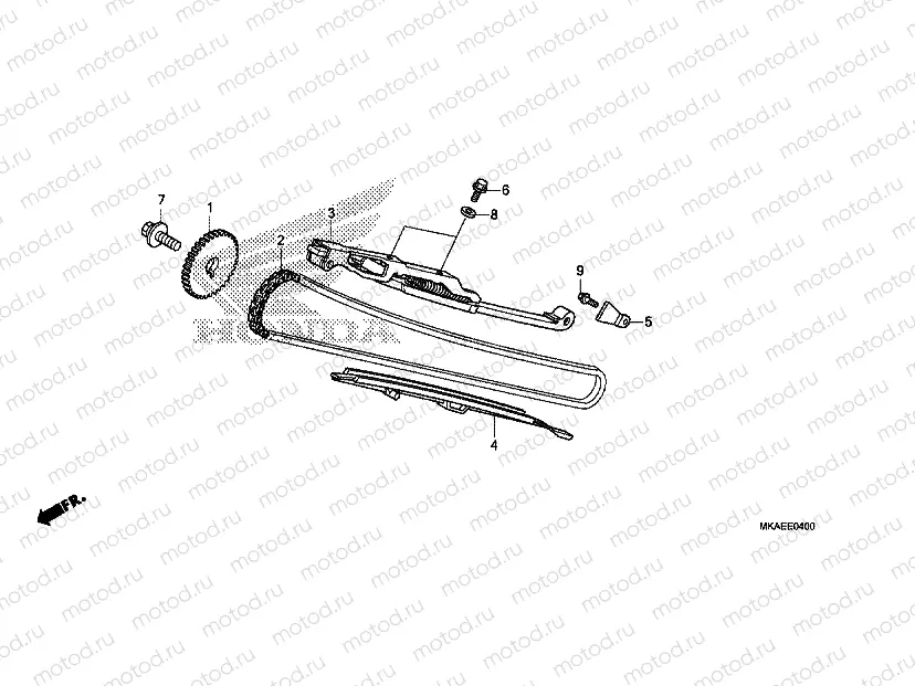 CAM CHAIN/TENSIONER