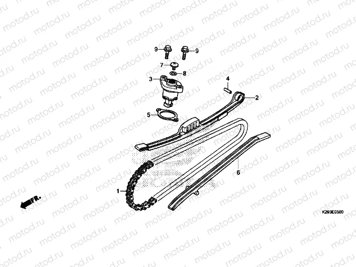 CAM CHAIN/TENSIONER