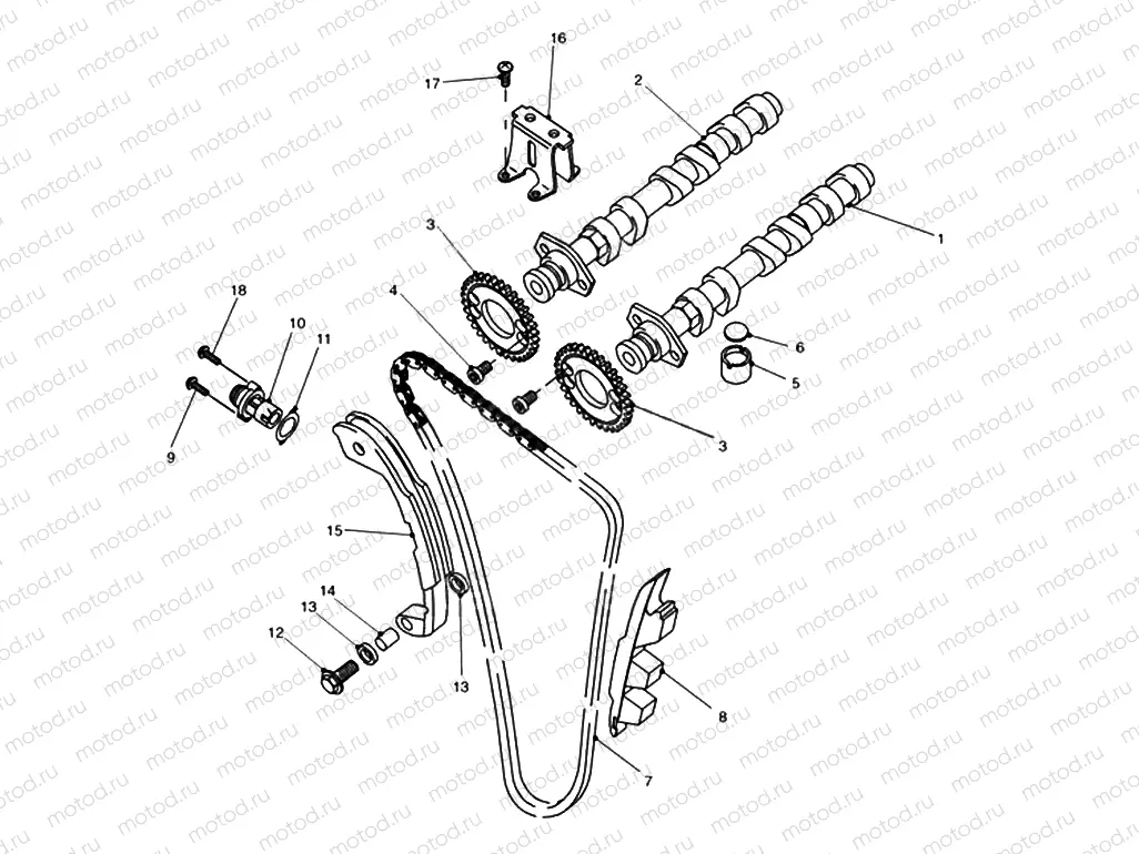 Camshaft and Drive