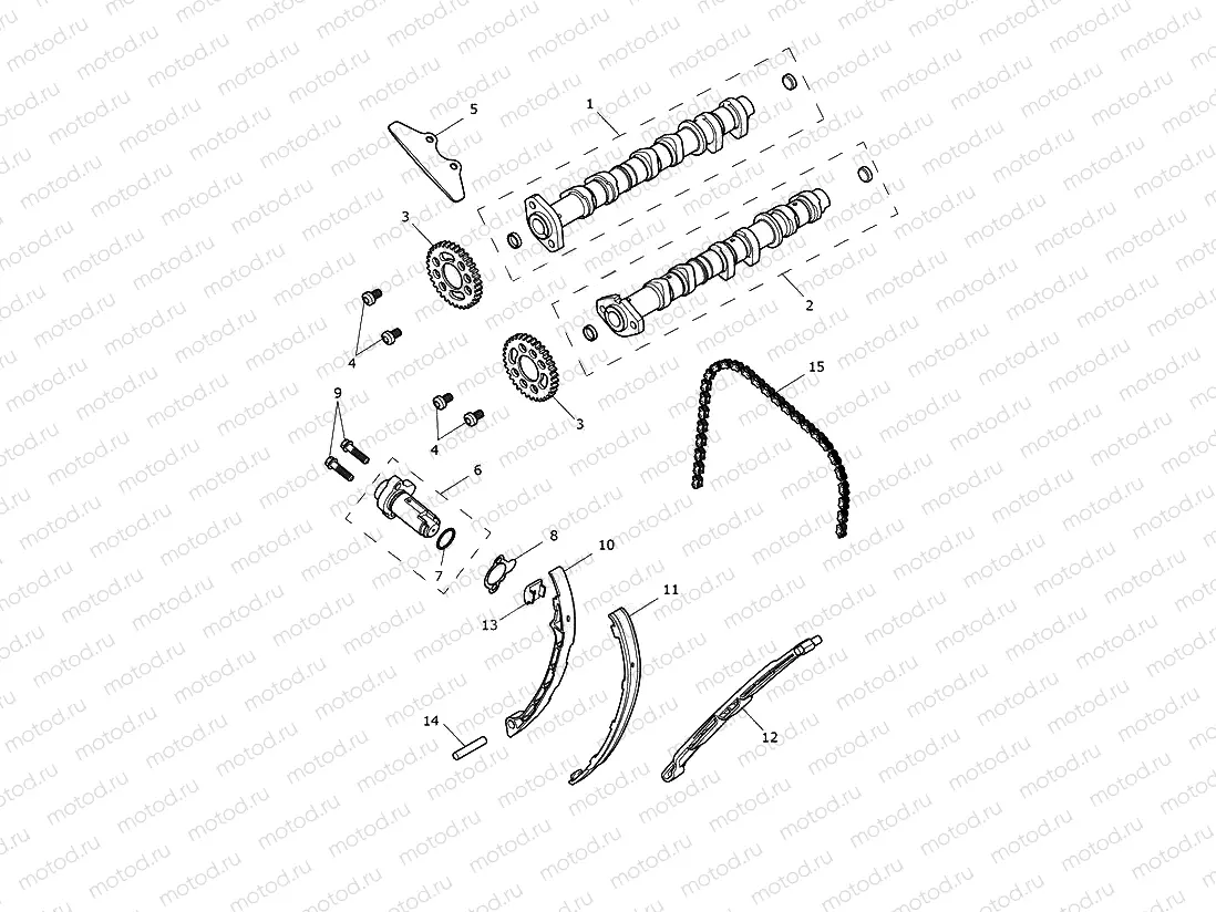 Camshaft and Drive