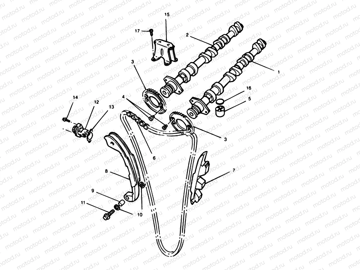 Camshaft & Camshaft Drive