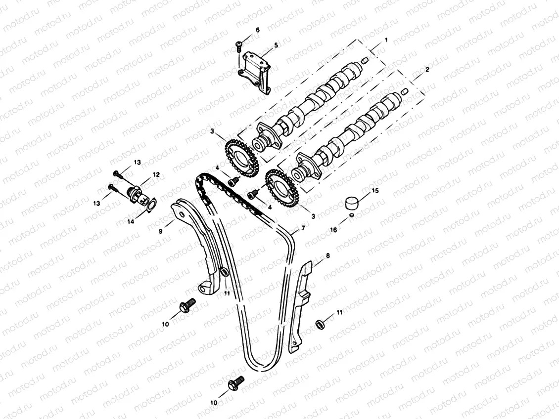 Camshaft & Camshaft Drive