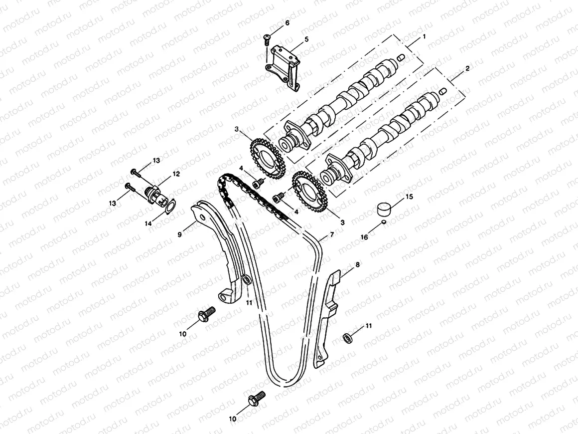 Camshaft & Camshaft Drive
