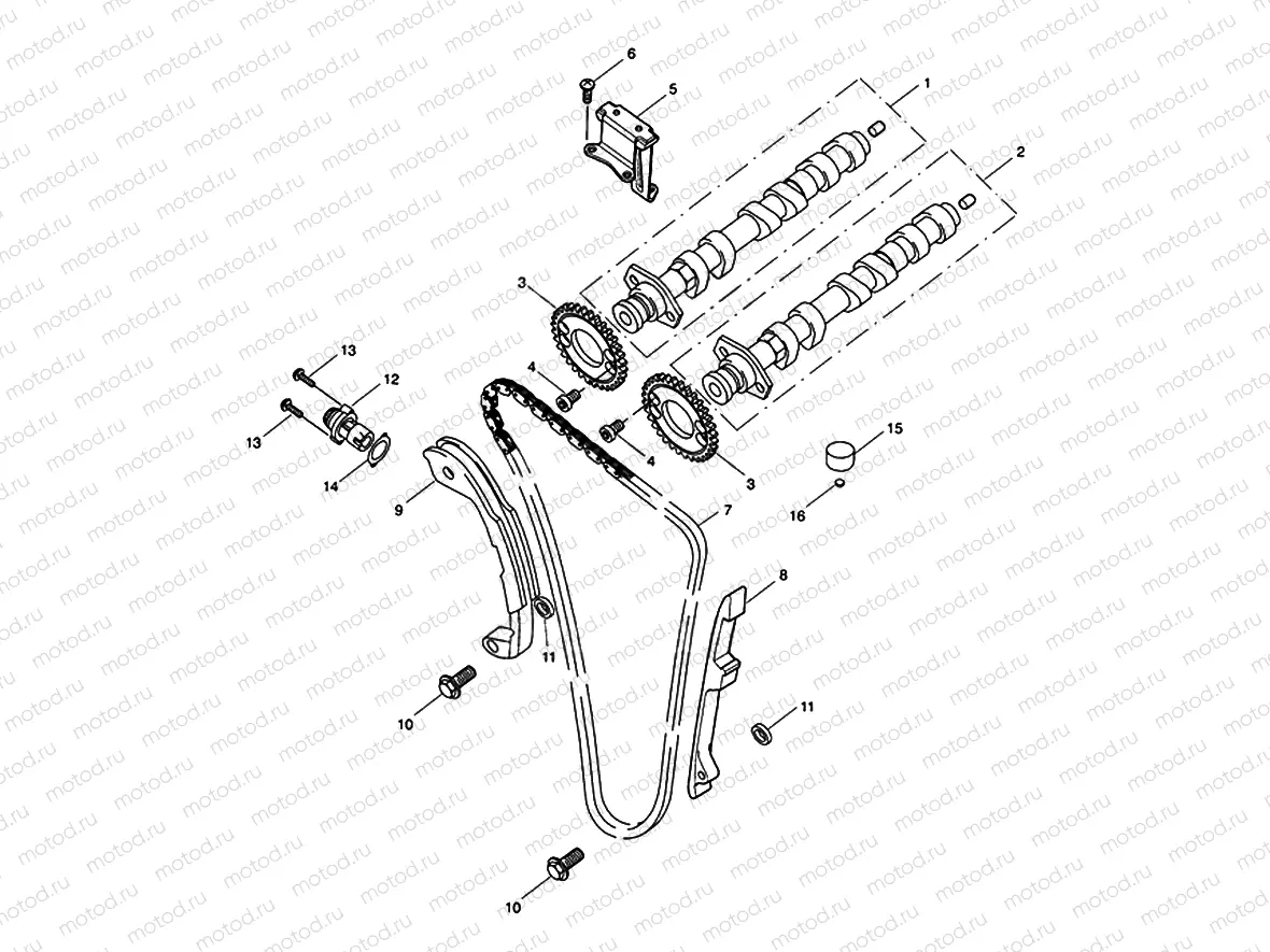 Camshaft & Camshaft Drive