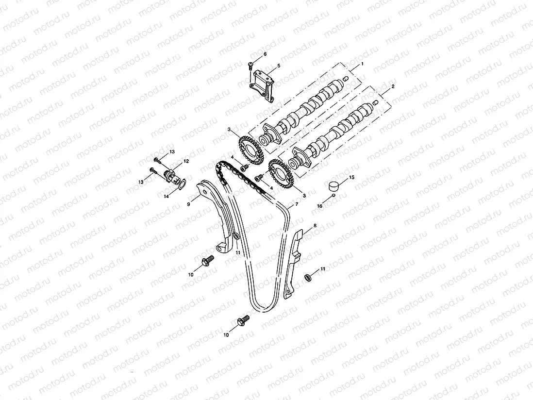 Camshaft & Camshaft Drive