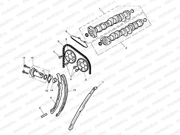 Camshaft & Camshaft Drive