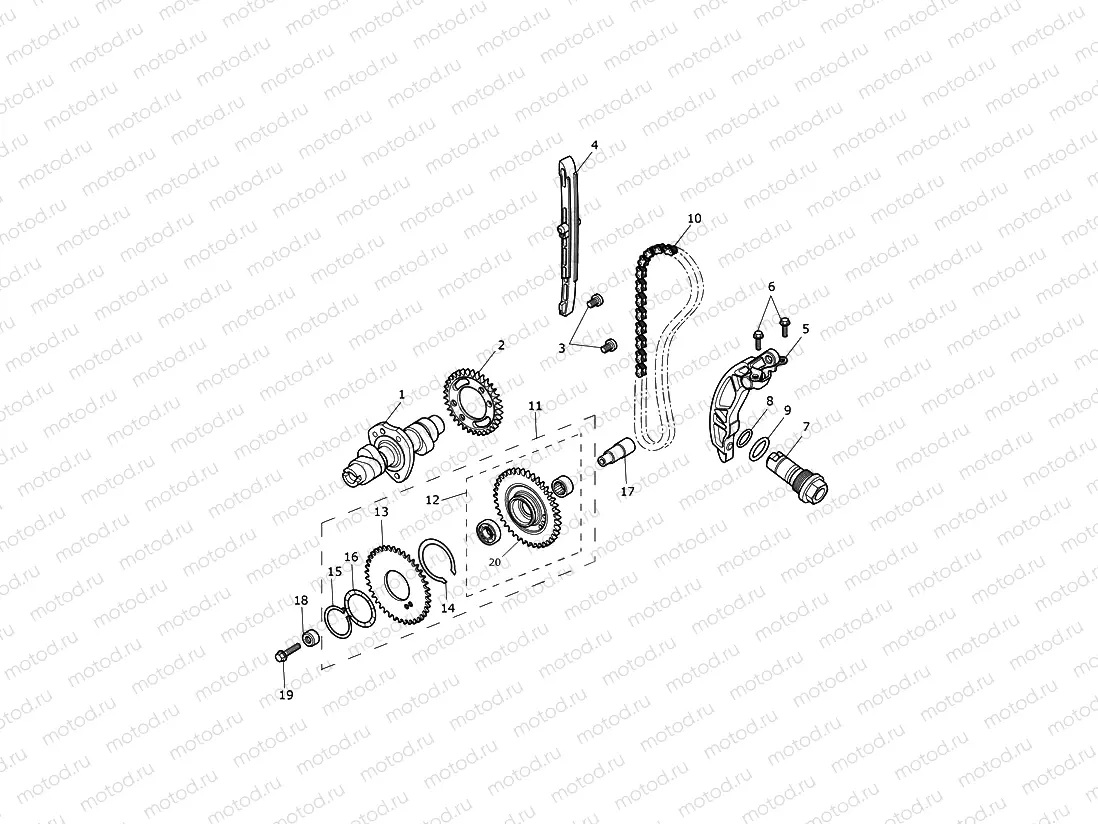 Camshaft & Camshaft Drive