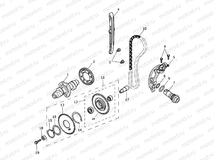 Camshaft & Camshaft Drive