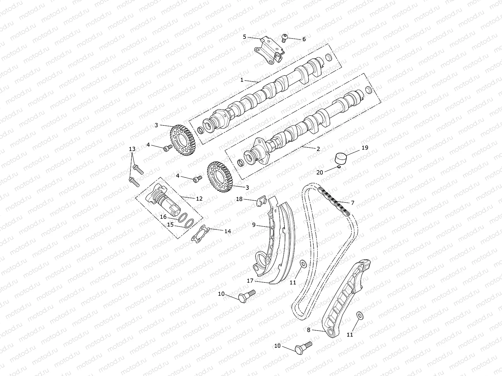 Camshaft & Camshaft Drive