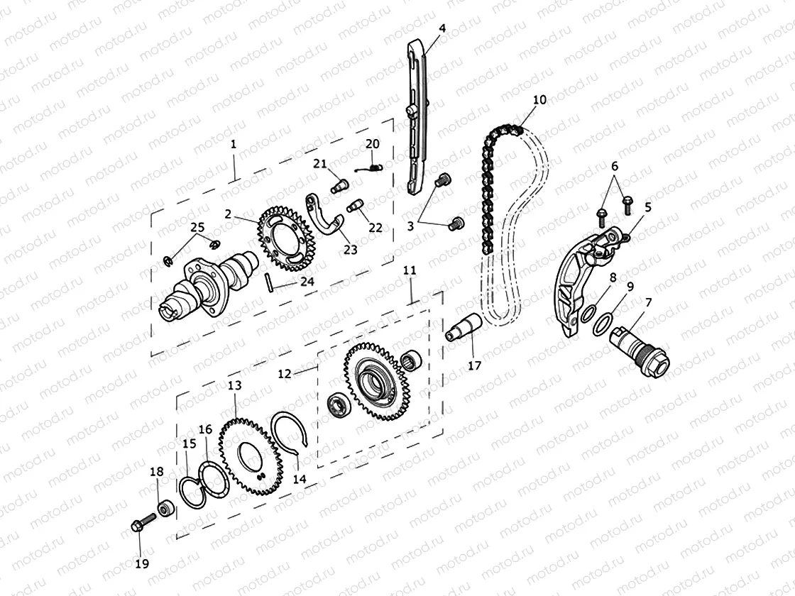 Camshaft & Camshaft Drive
